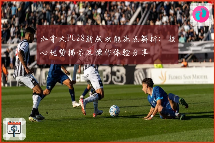 加拿大PC28新版功能亮点解析：核心优势揭示及操作体验分享