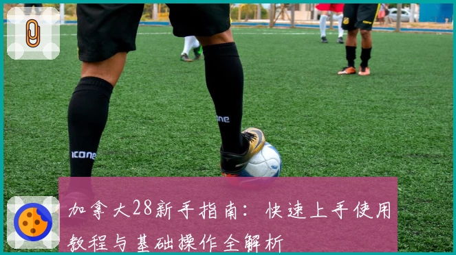 加拿大28新手指南：快速上手使用教程与基础操作全解析