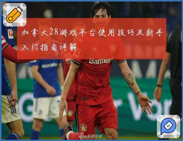 加拿大28游戏平台使用技巧及新手入门指南详解