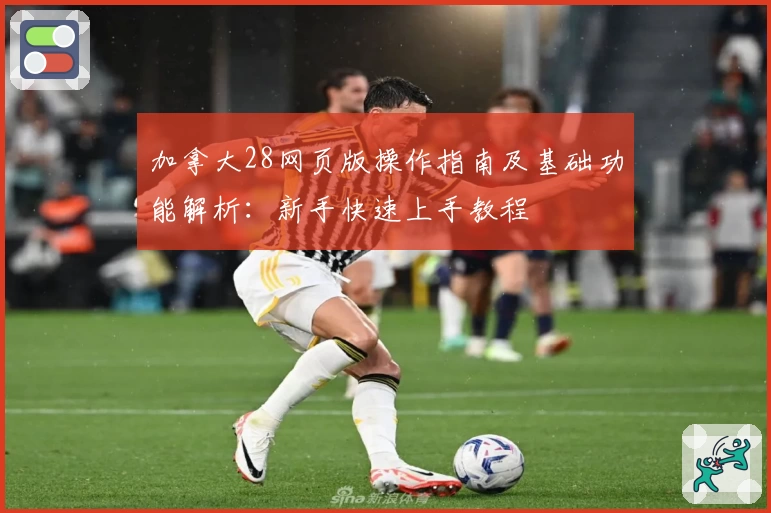 加拿大28网页版操作指南及基础功能解析：新手快速上手教程