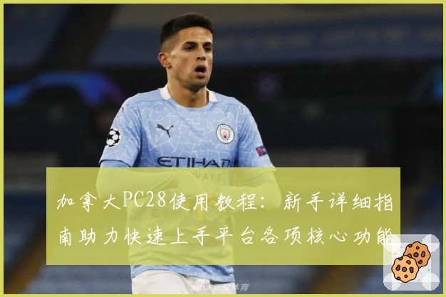 加拿大PC28使用教程：新手详细指南助力快速上手平台各项核心功能