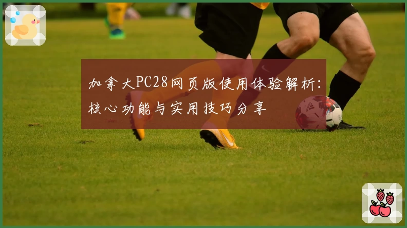 加拿大PC28网页版使用体验解析：核心功能与实用技巧分享