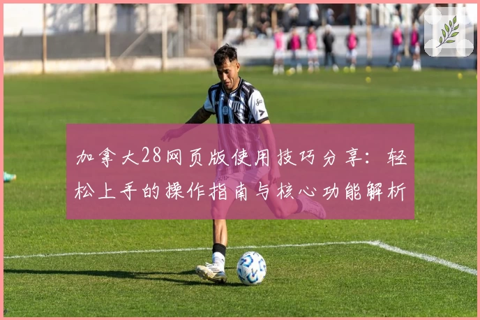 加拿大28网页版使用技巧分享：轻松上手的操作指南与核心功能解析