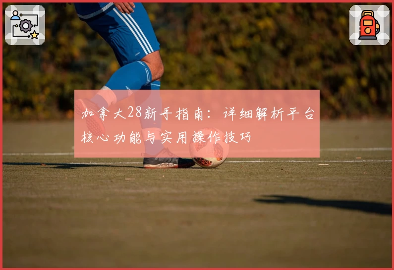 加拿大28新手指南：详细解析平台核心功能与实用操作技巧