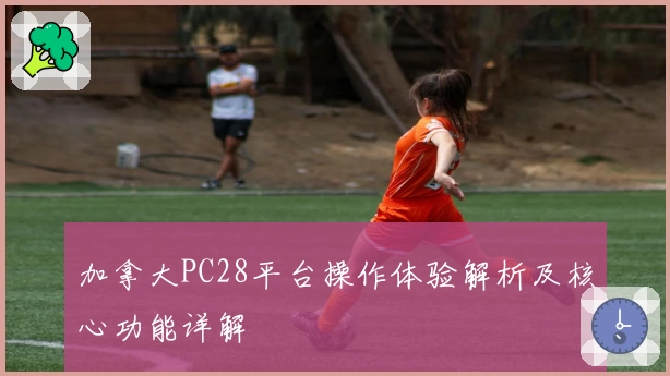 加拿大PC28平台操作体验解析及核心功能详解