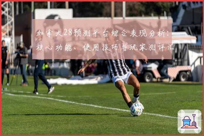 加拿大28预测平台综合表现分析：核心功能、使用技巧与玩家测评汇总