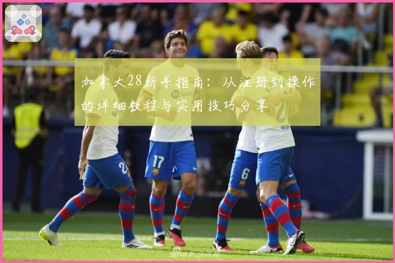 加拿大28新手指南：从注册到操作的详细教程与实用技巧分享