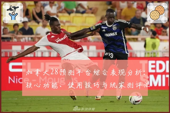 加拿大28预测平台综合表现分析：核心功能、使用技巧与玩家测评汇总