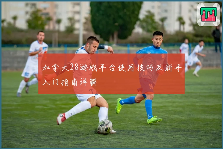 加拿大28游戏平台使用技巧及新手入门指南详解