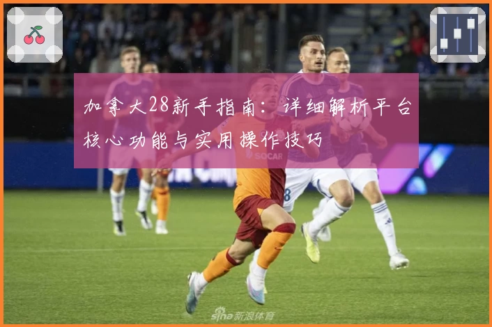 加拿大28新手指南：详细解析平台核心功能与实用操作技巧