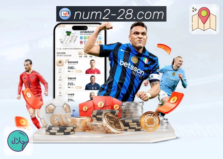 加拿大28APP，构建安全高效的应用生态